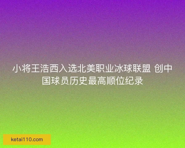 小将王浩西入选北美职业冰球联盟 创中国球员历史最高顺位纪录